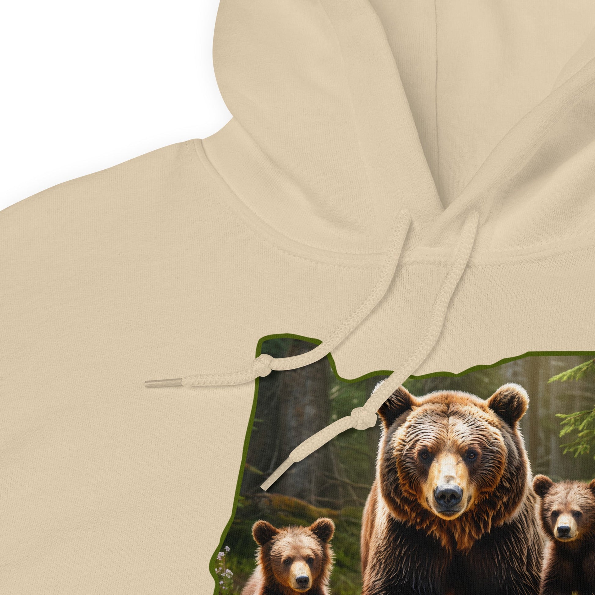 Oregon Bear Family Men's (Unisex) Hoodie - Hoodies - Discovery Co.