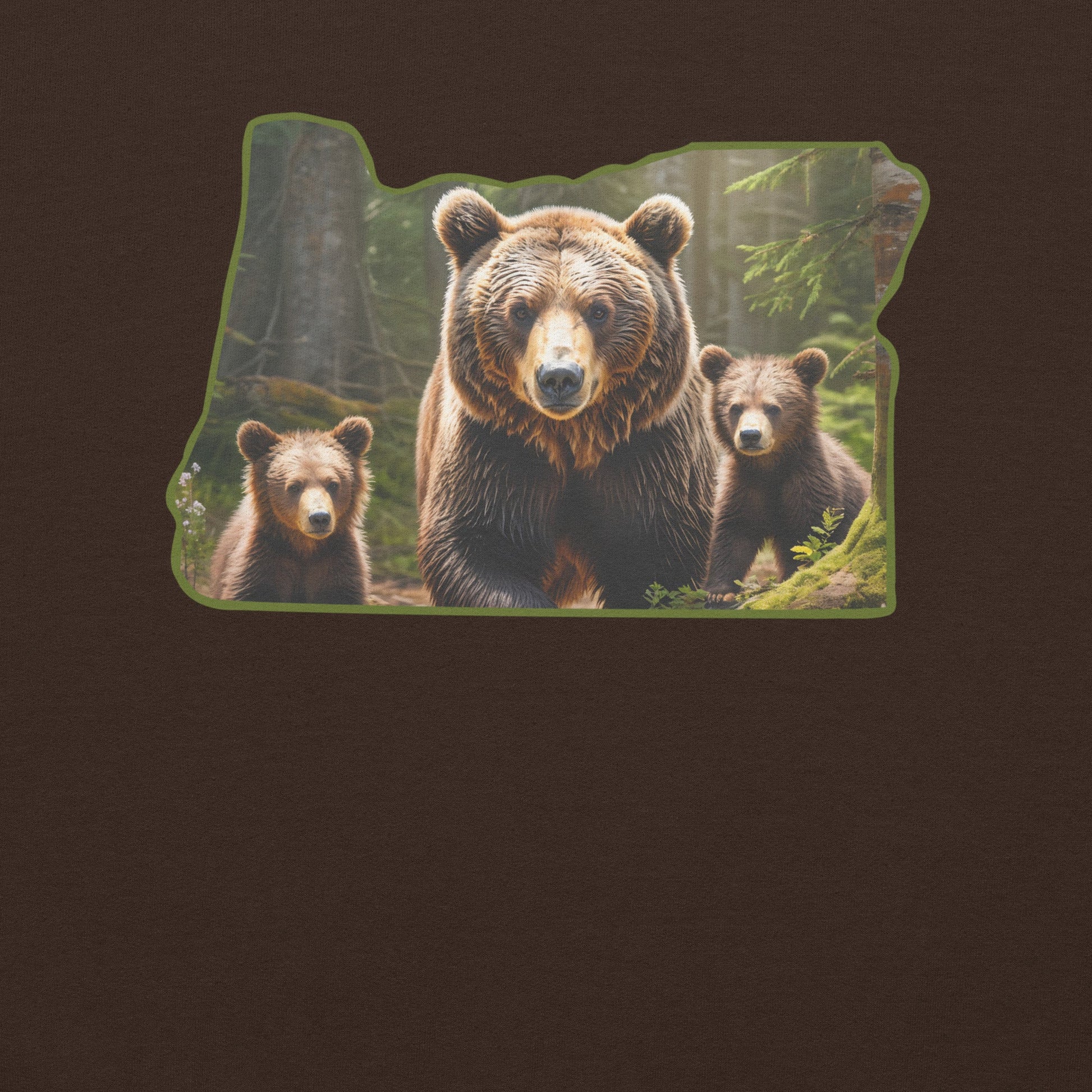 Oregon Bear Family Women's (Unisex) Hoodie - Hoodies - Discovery Co.