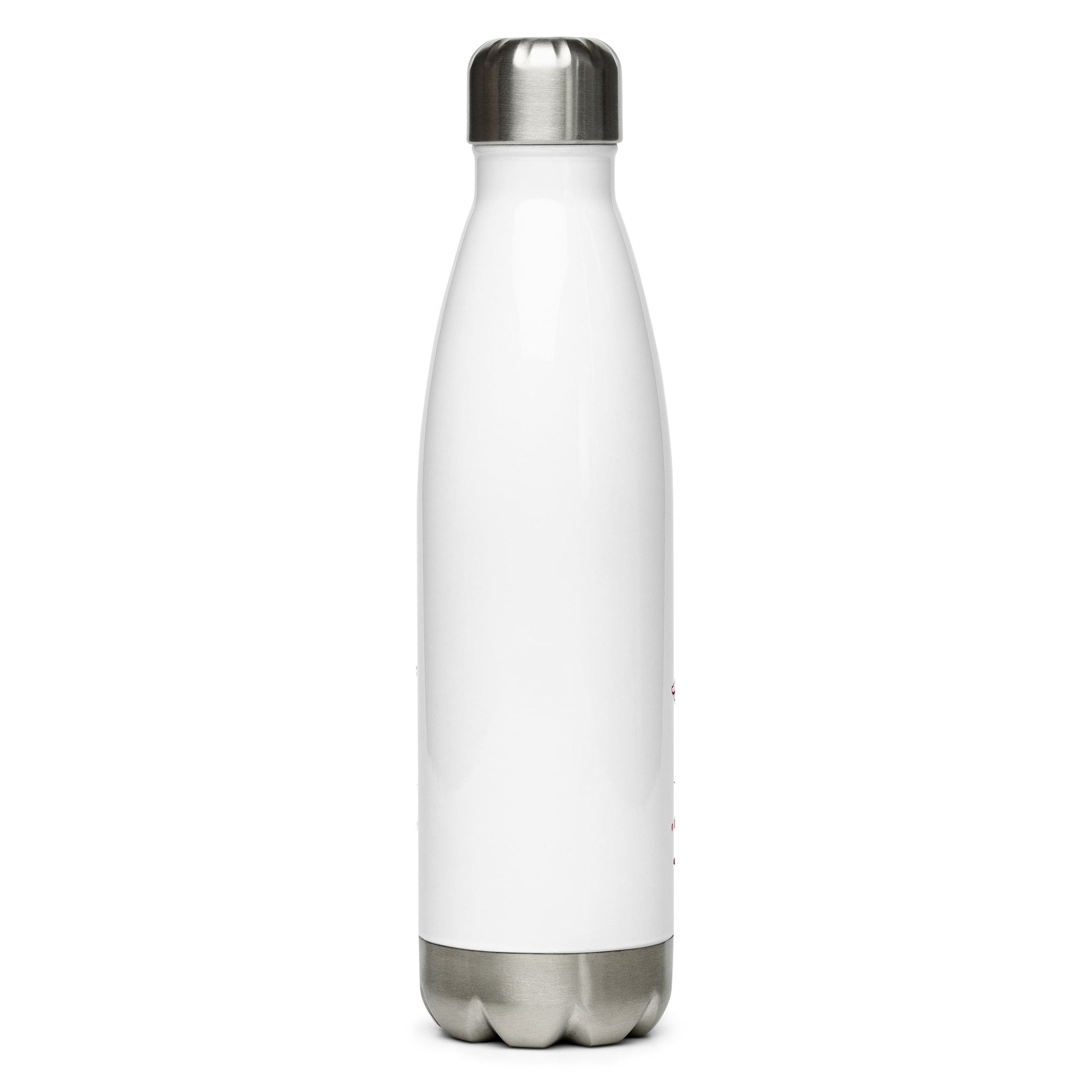 Piglets Stainless Steel Water Bottle - Stainless Steel Water Bottle - Discovery Co.