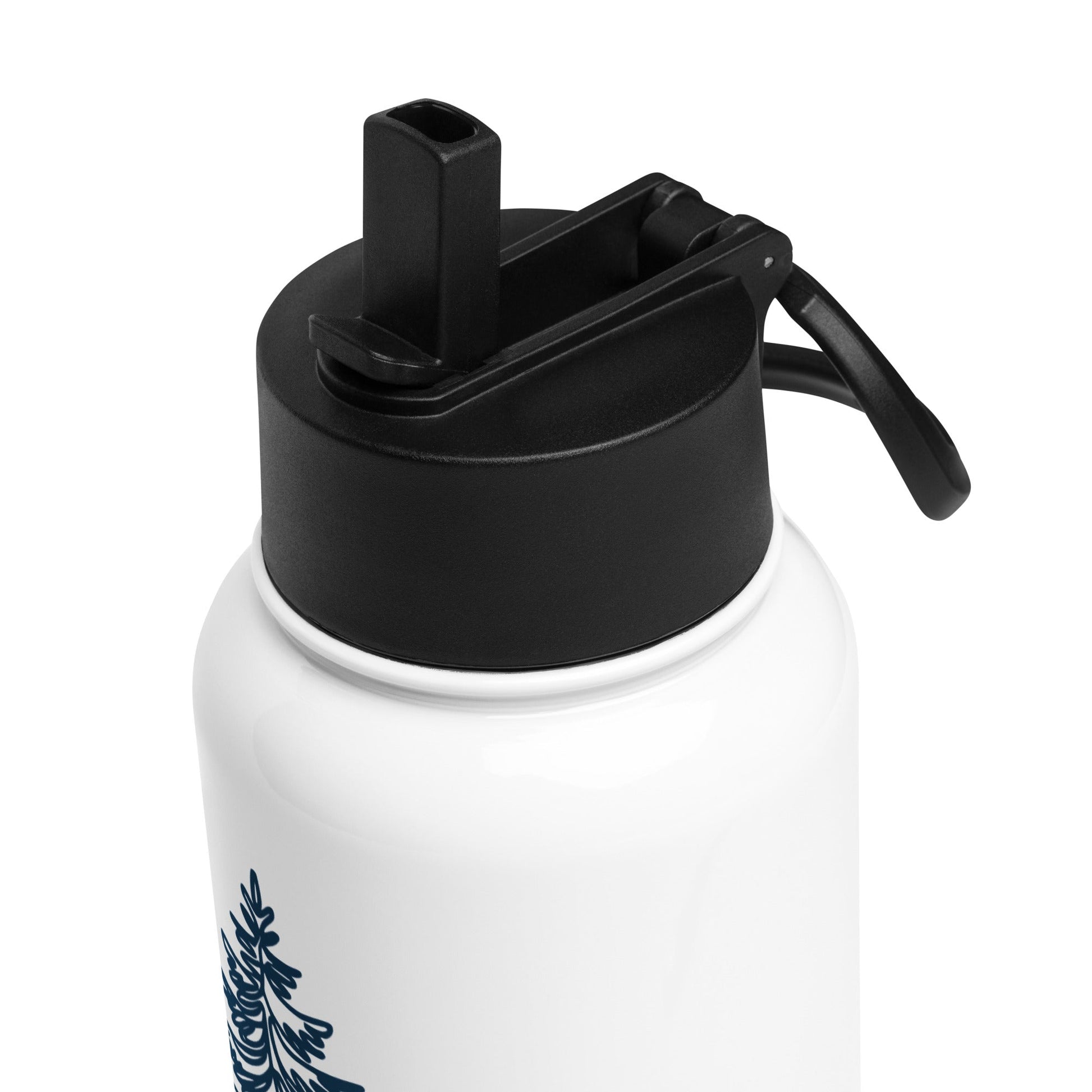 Rooted In Nature Stainless Steel Water Bottle With Straw Lid - Stainless Steel Water Bottle With Straw Lid - Discovery Co.