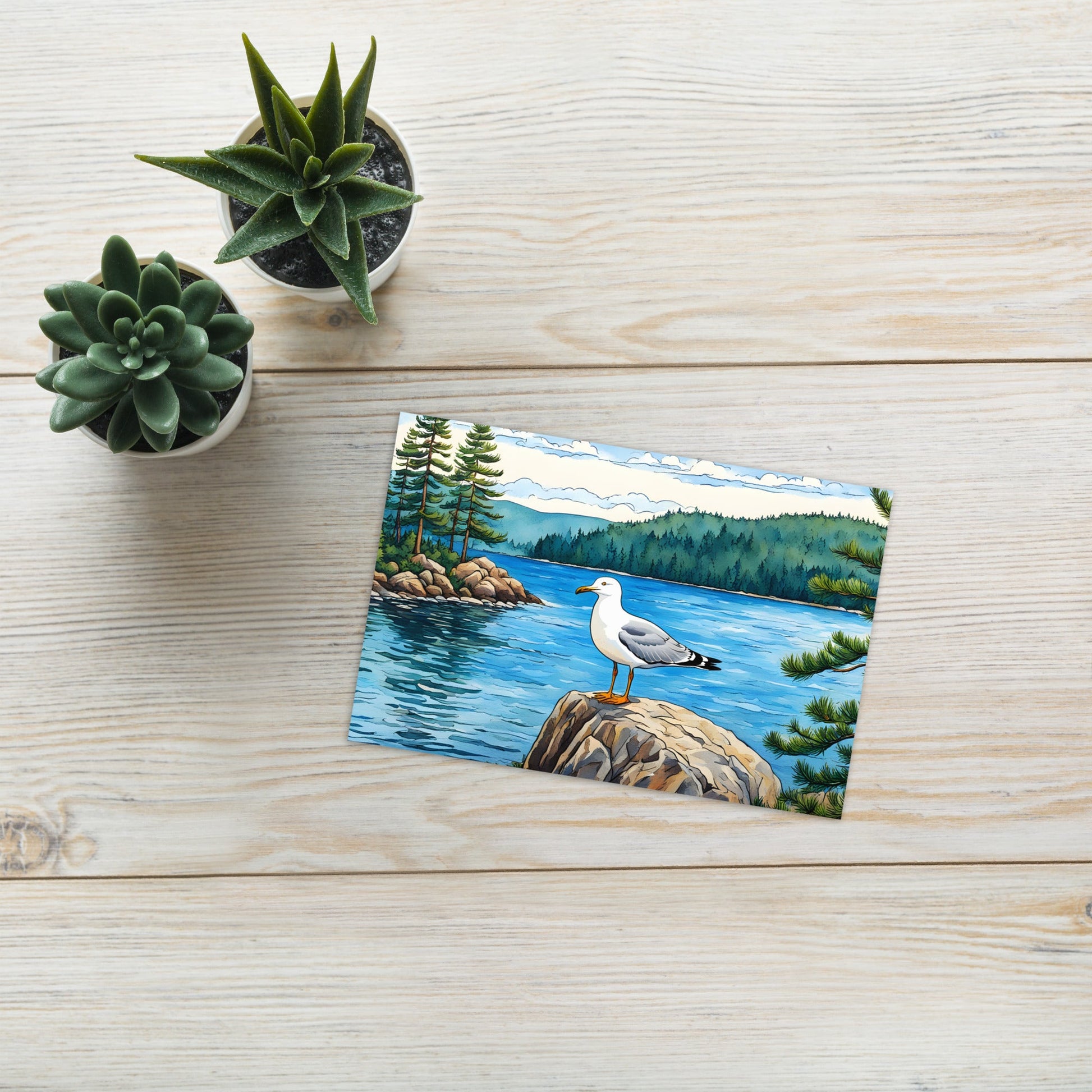 Seagull On A Rock Greeting Card - Greeting Card - Discovery Co.