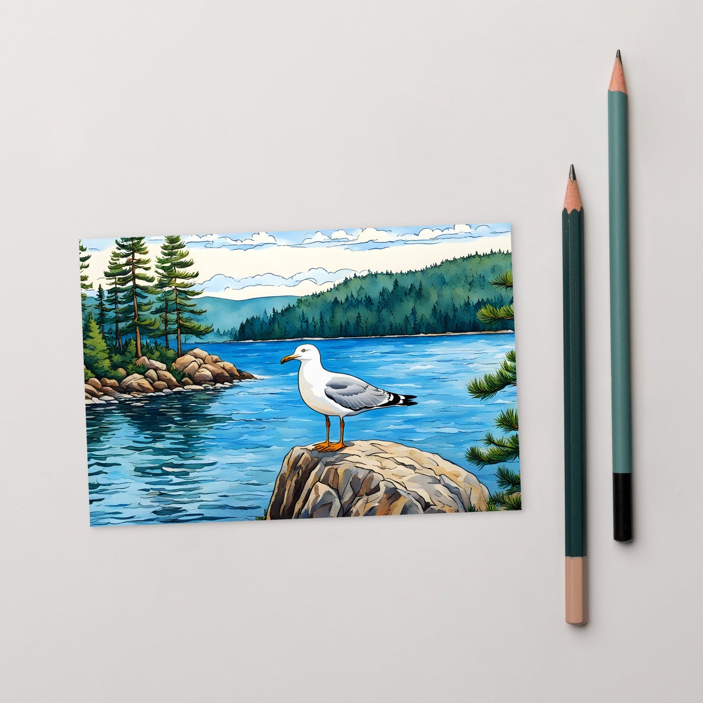 Seagull On A Rock Standard Postcard - Post Cards - Discovery Co.