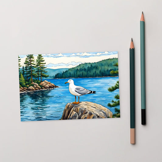 Seagull On A Rock Standard Postcard - Post Cards - Discovery Co.