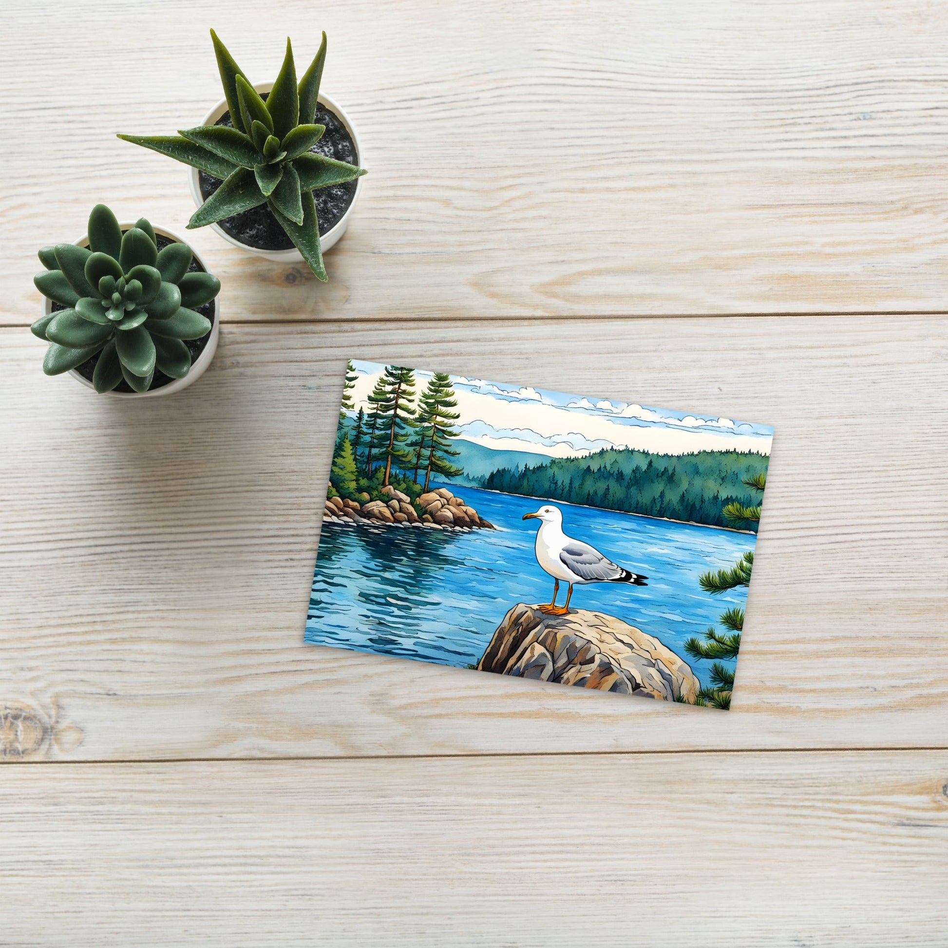 Seagull On A Rock Standard Postcard - Post Cards - Discovery Co.