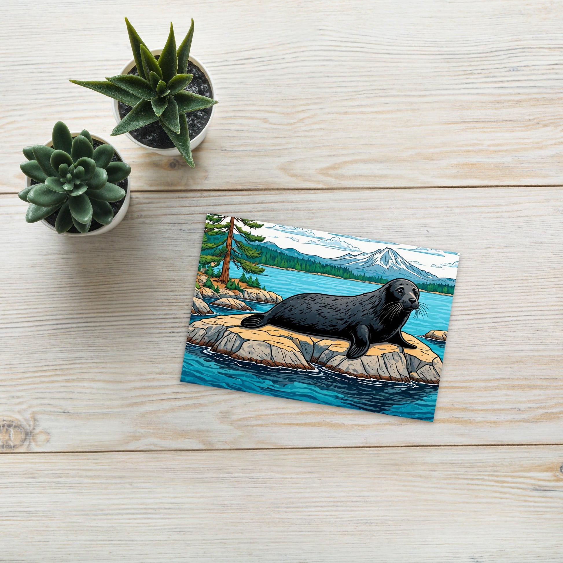 Seal On A Rock Standard Postcard - Post Cards - Discovery Co.