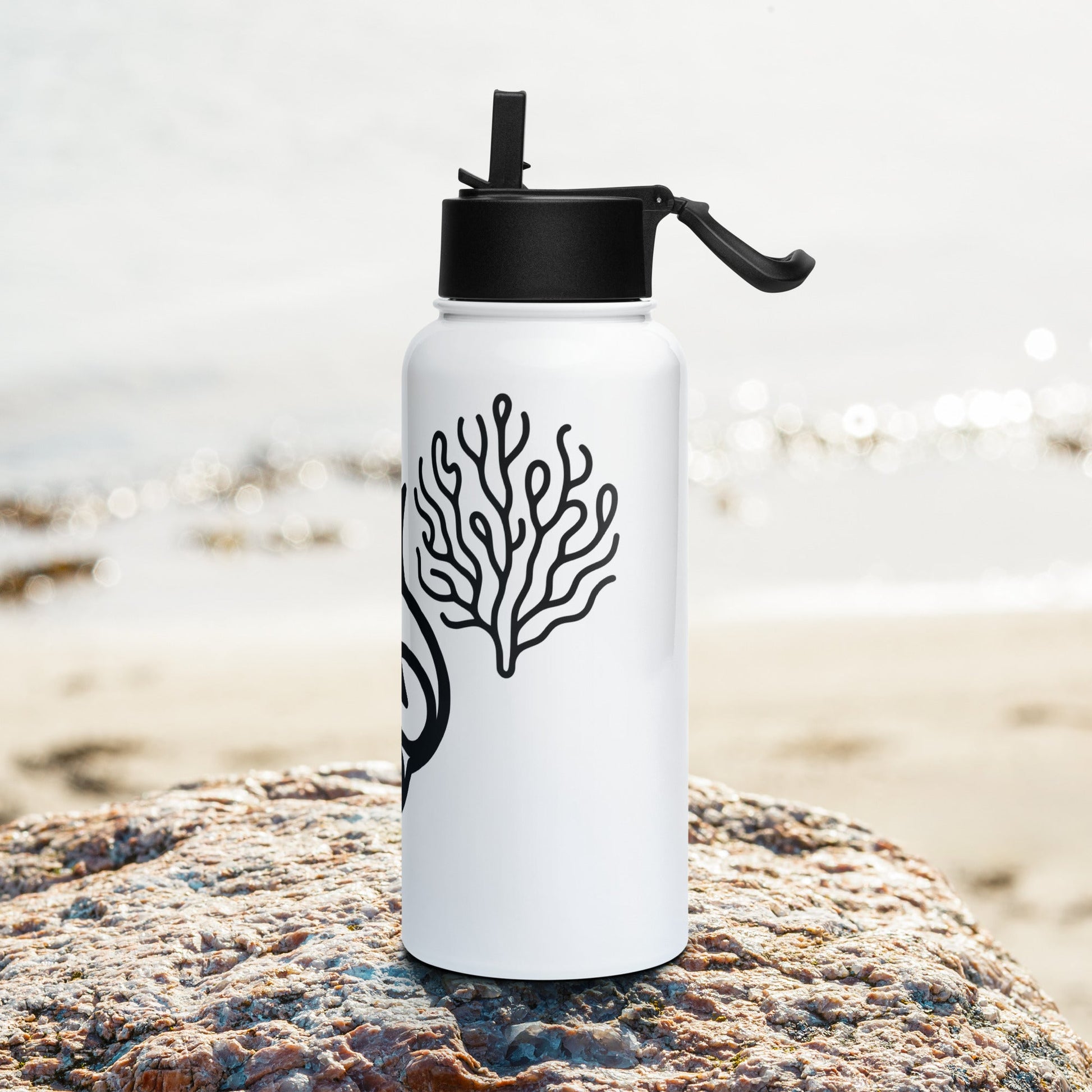 Shark II Stainless Steel Water Bottle With Straw Lid - Stainless Steel Water Bottle With Straw Lid - Discovery Co.