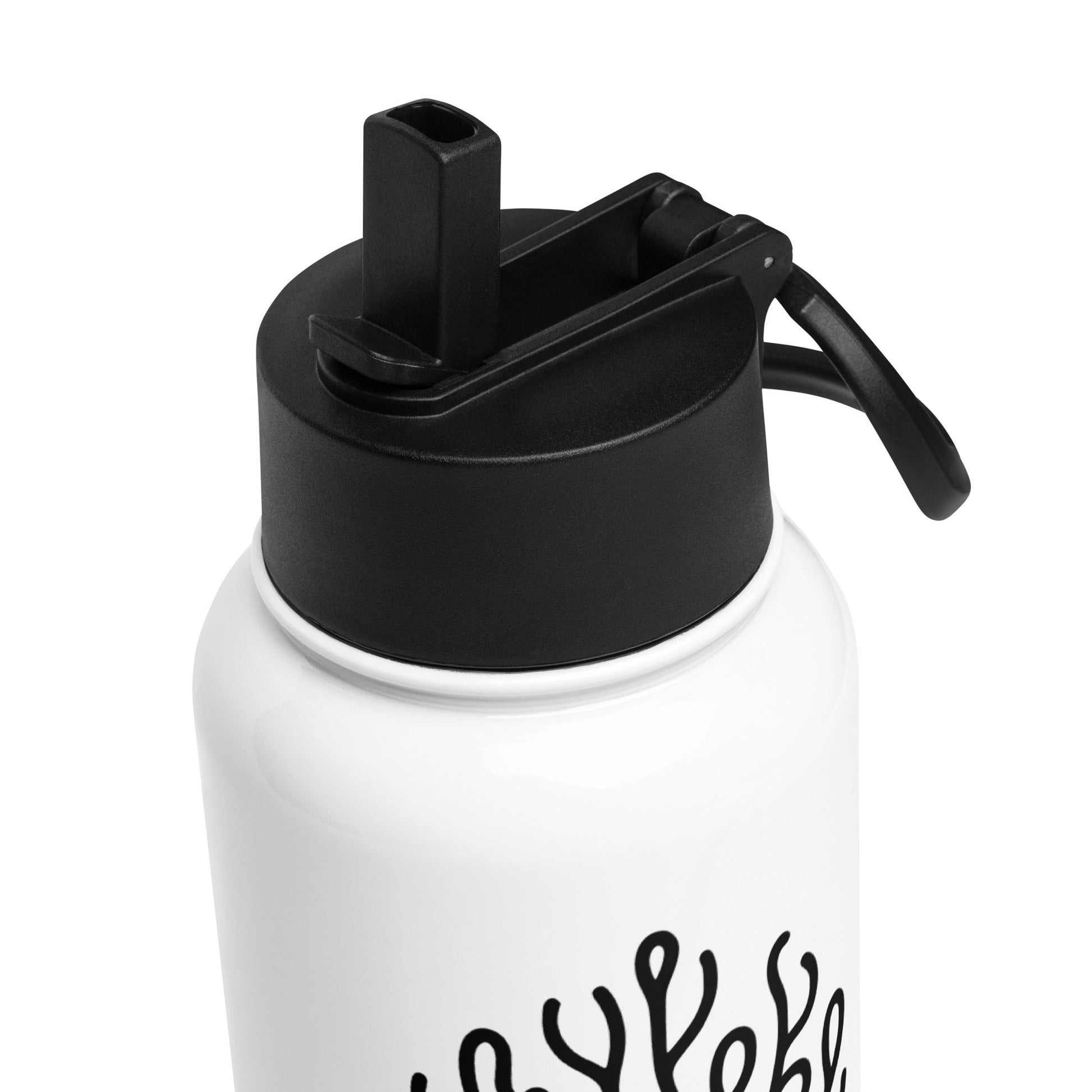 Shark II Stainless Steel Water Bottle With Straw Lid - Stainless Steel Water Bottle With Straw Lid - Discovery Co.