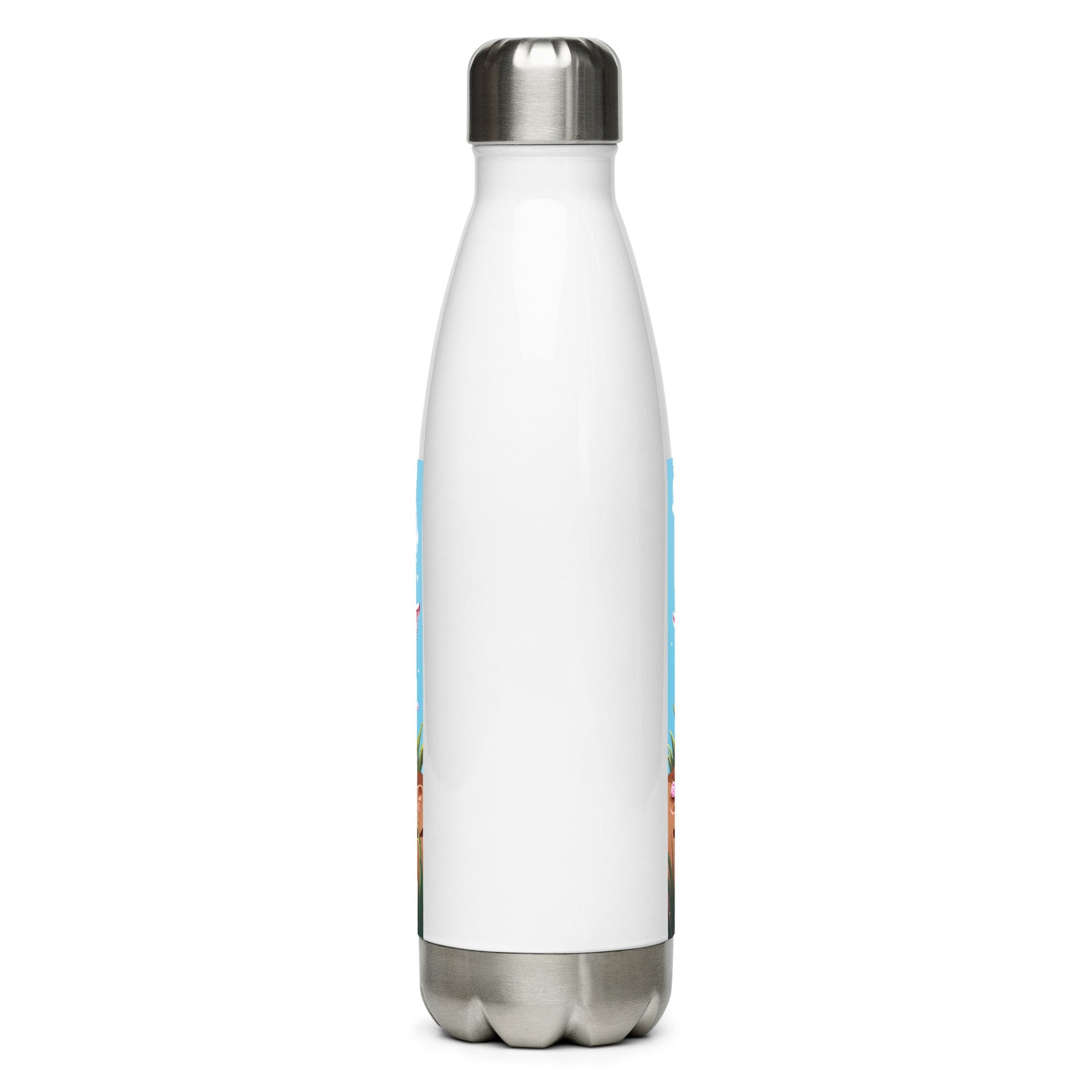 Three Little Pigs Stainless Steel Water Bottle - Stainless Steel Water Bottle - Discovery Co.