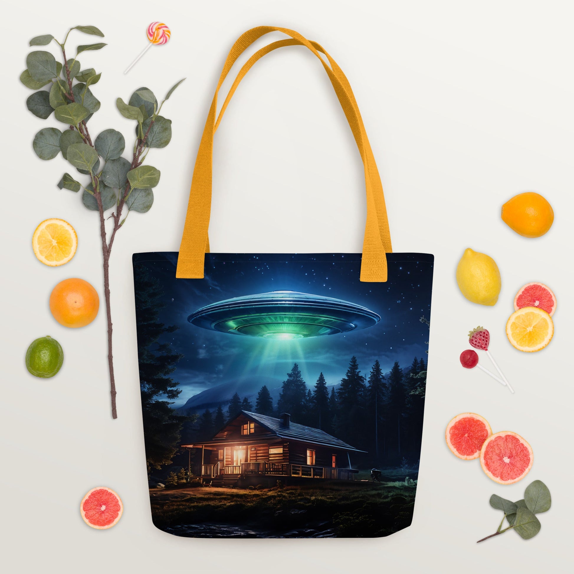 UFO Over House Tote Bag - Tote Bags - Discovery Co.