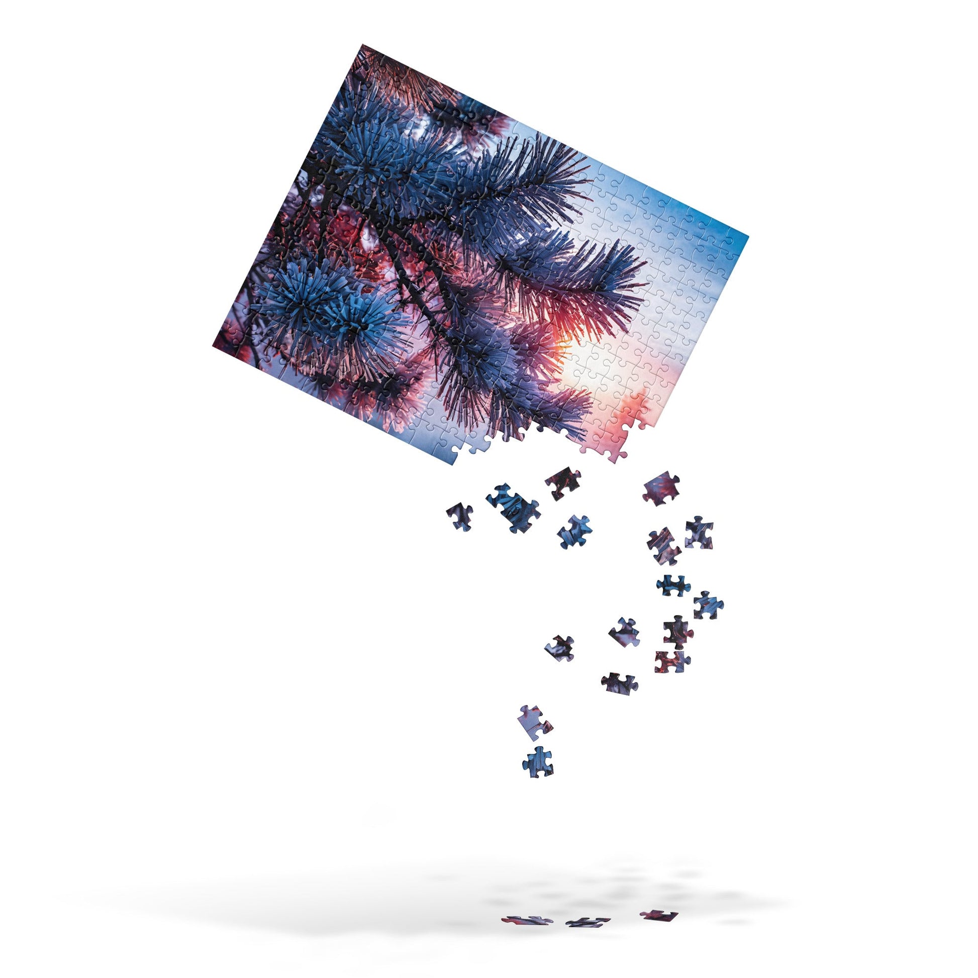 Winter Frost Jigsaw Puzzle - Puzzle - Discovery Co.